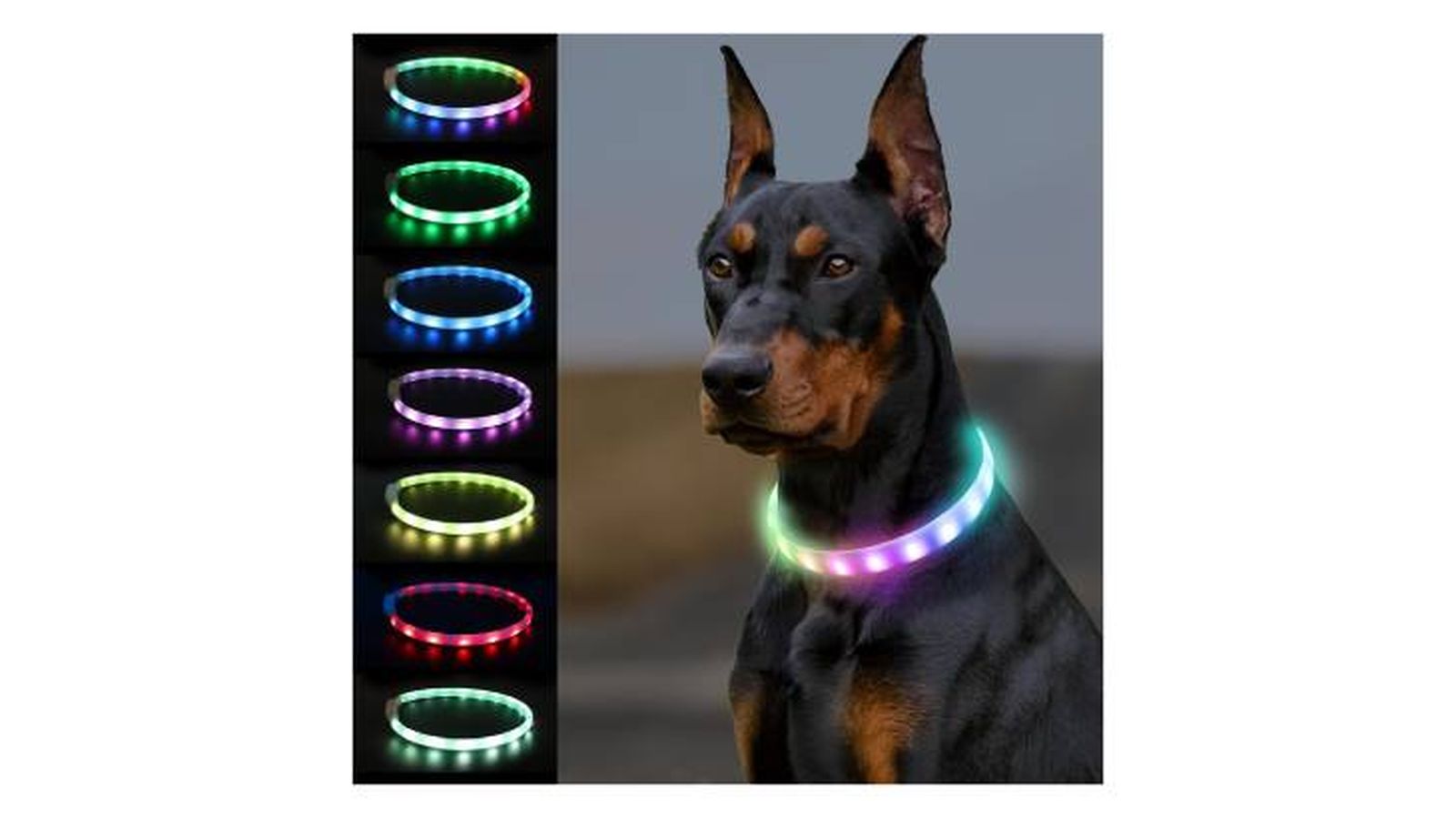 collar led perro joytale (1) collar led perro joytale (1)