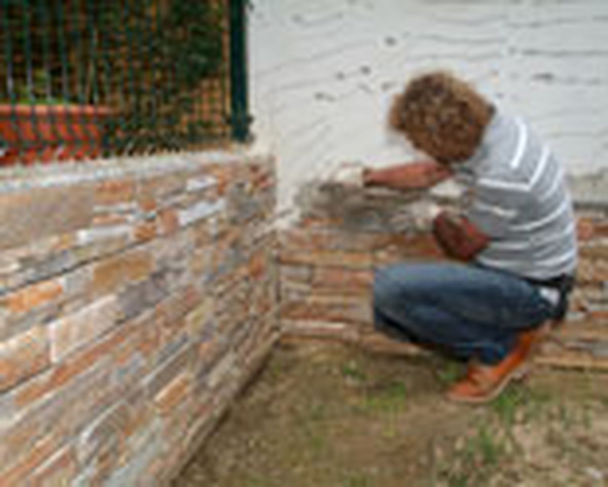 462 pied nat ext p18