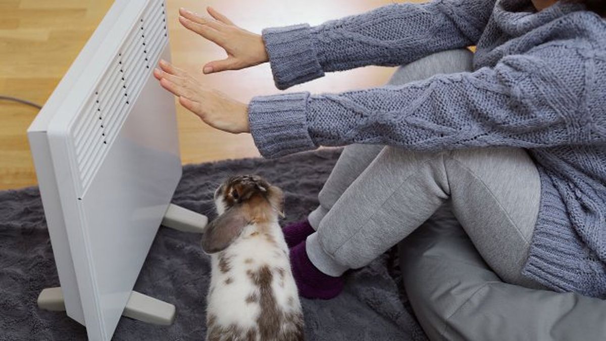 truco de la ocu para calentar casa sin calefaccion ni electricidad