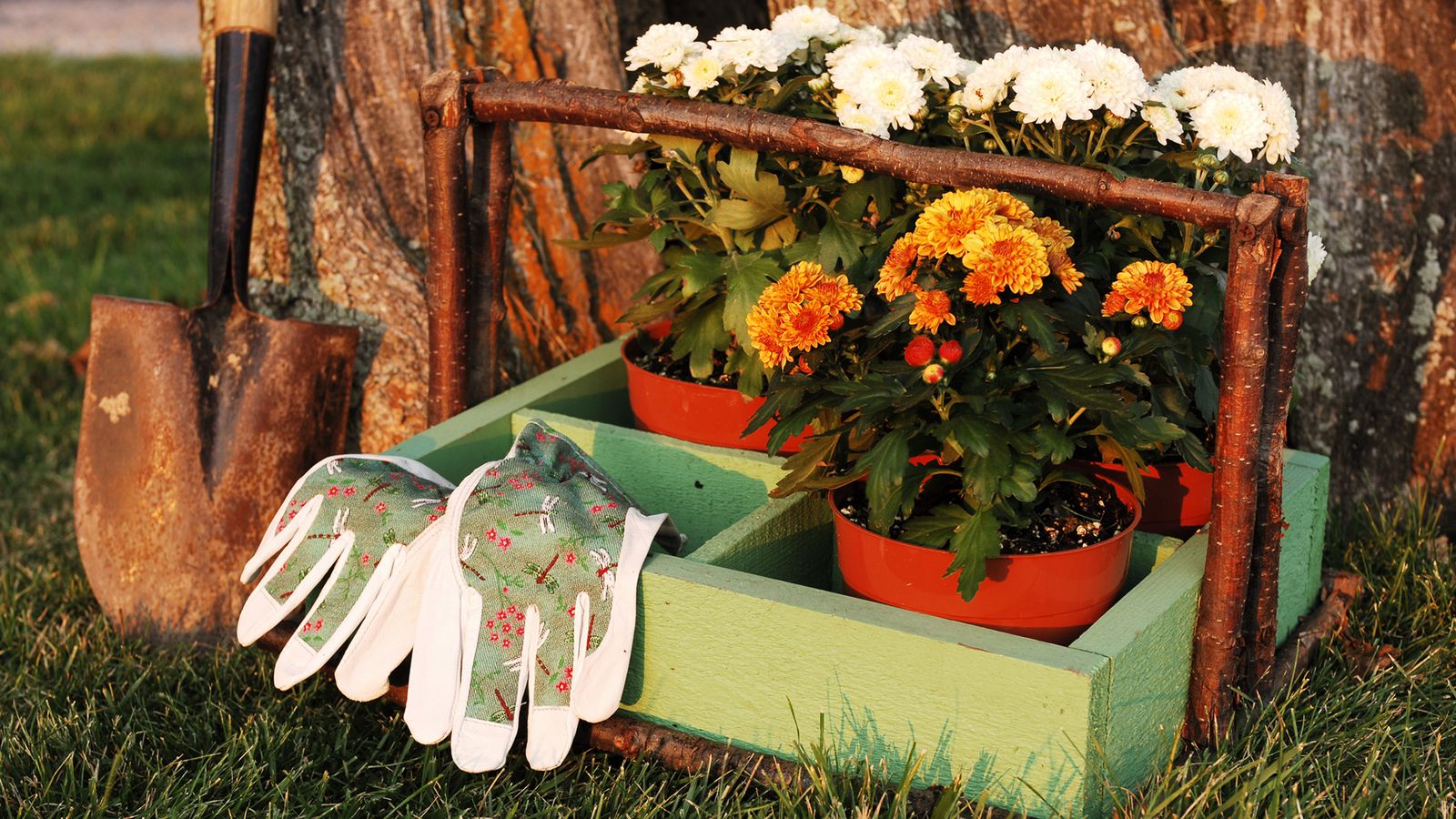 claves mantener jardin cuidado otono claves mantener jardin cuidado otono