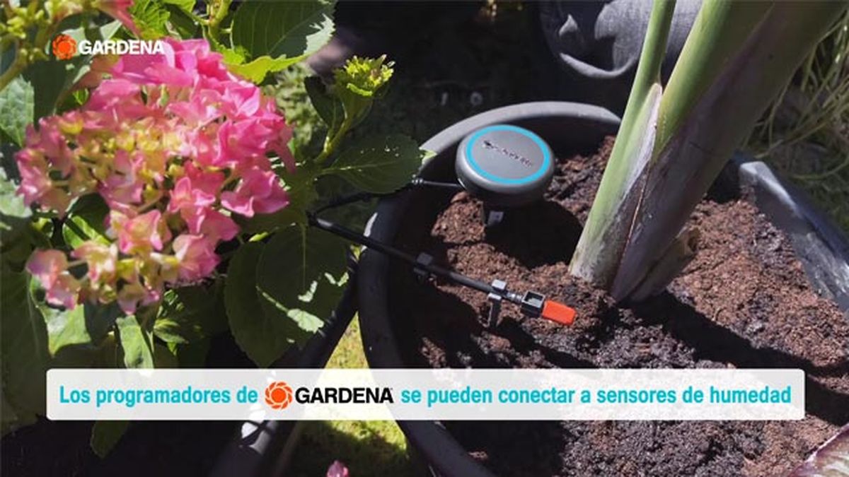 Programador por Bluetooth® de GARDENA.