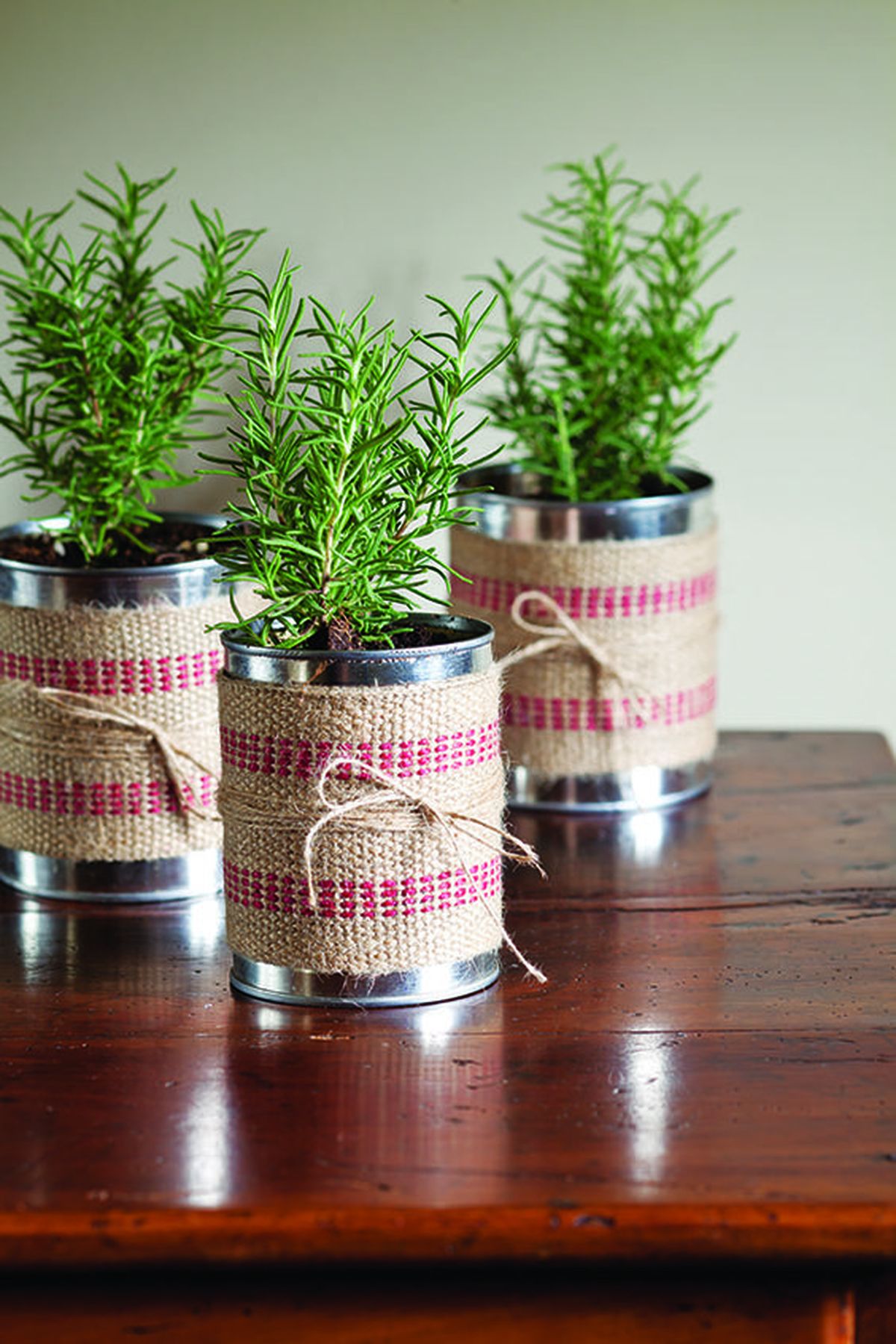 latas con aromaticas pinterest