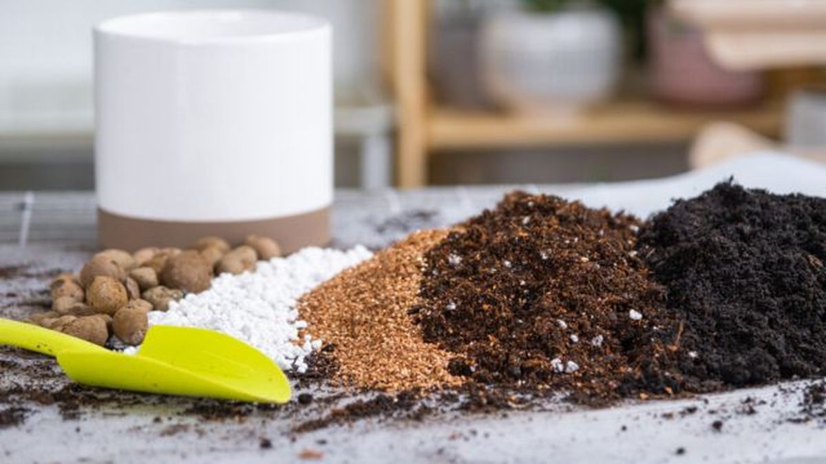 turba tierra arena perlita vermiculita coco