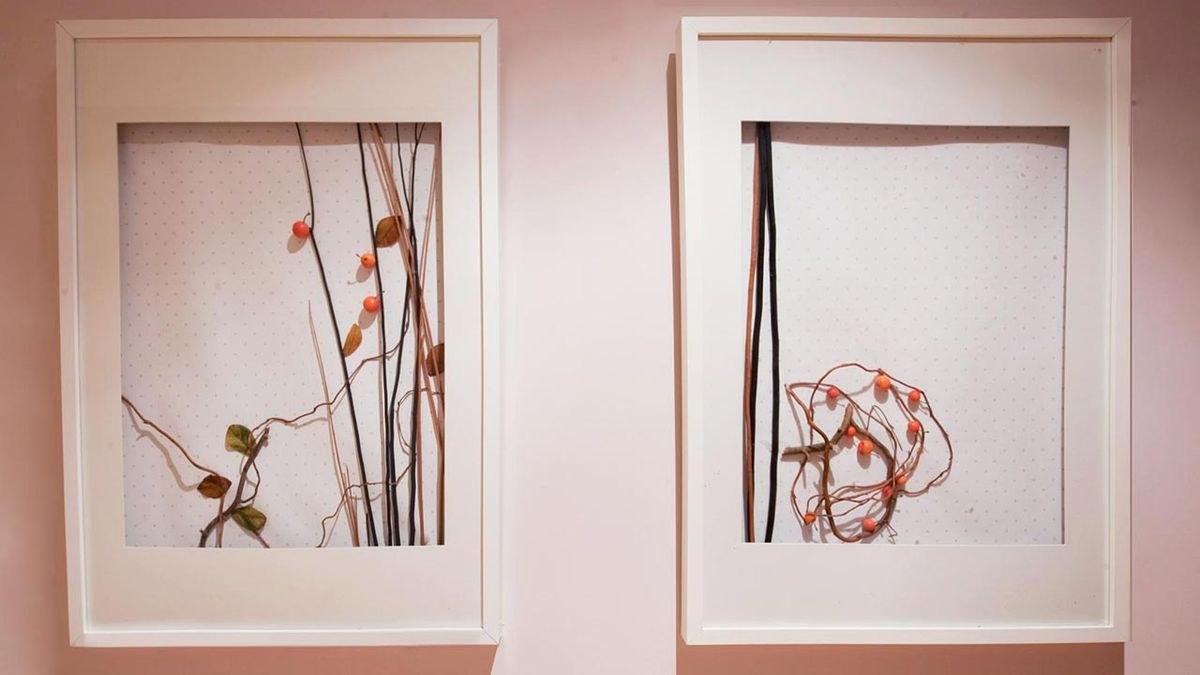 Cómo hacer cuadros con elementos naturales