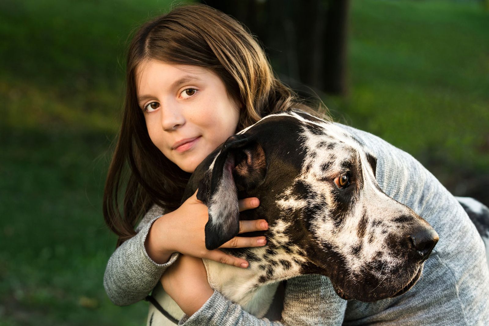 perros grandes son nobles perros grandes son nobles