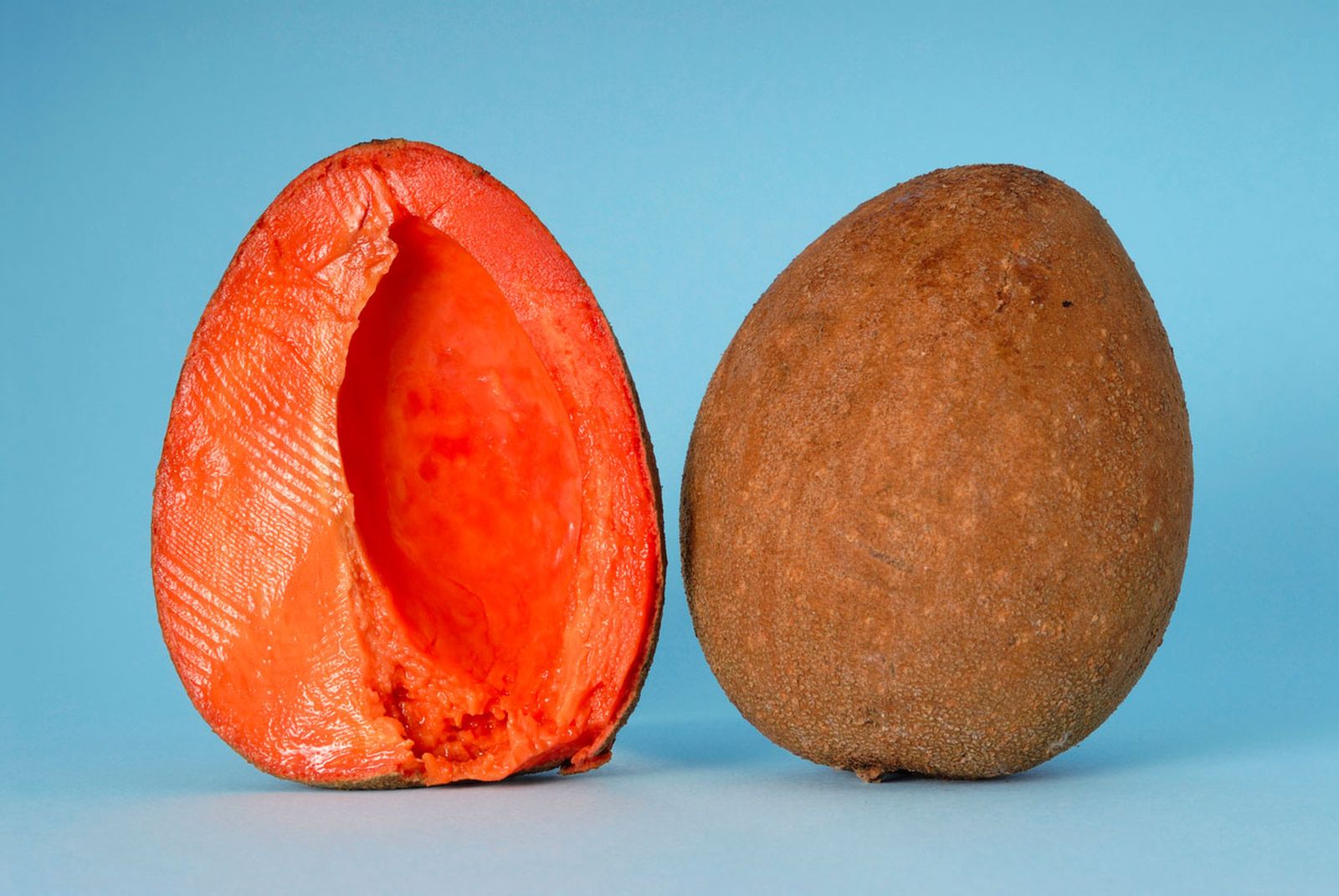 zapote rojo fruta tropical