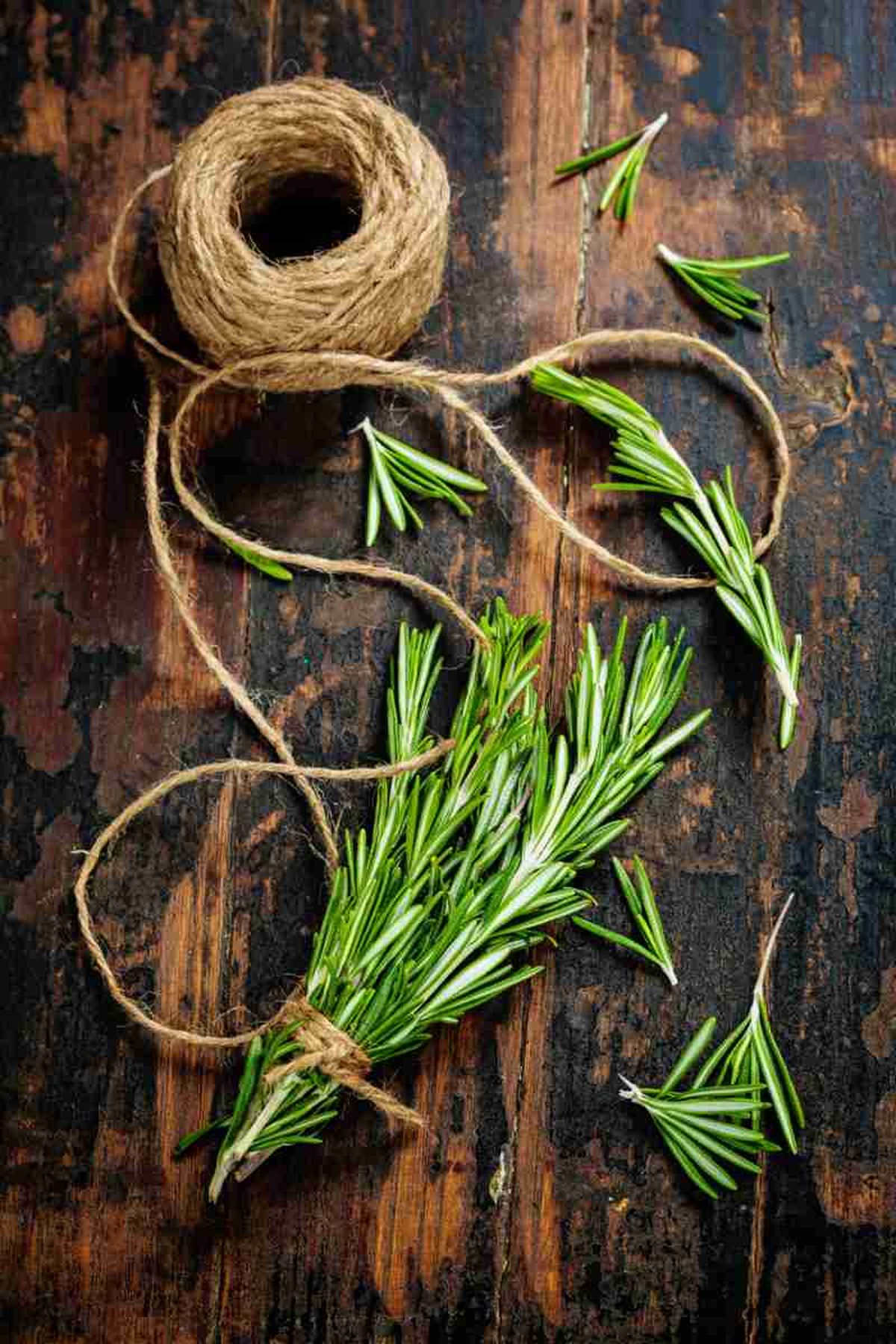 Poco a poco, une las ramas de romero con cuerda