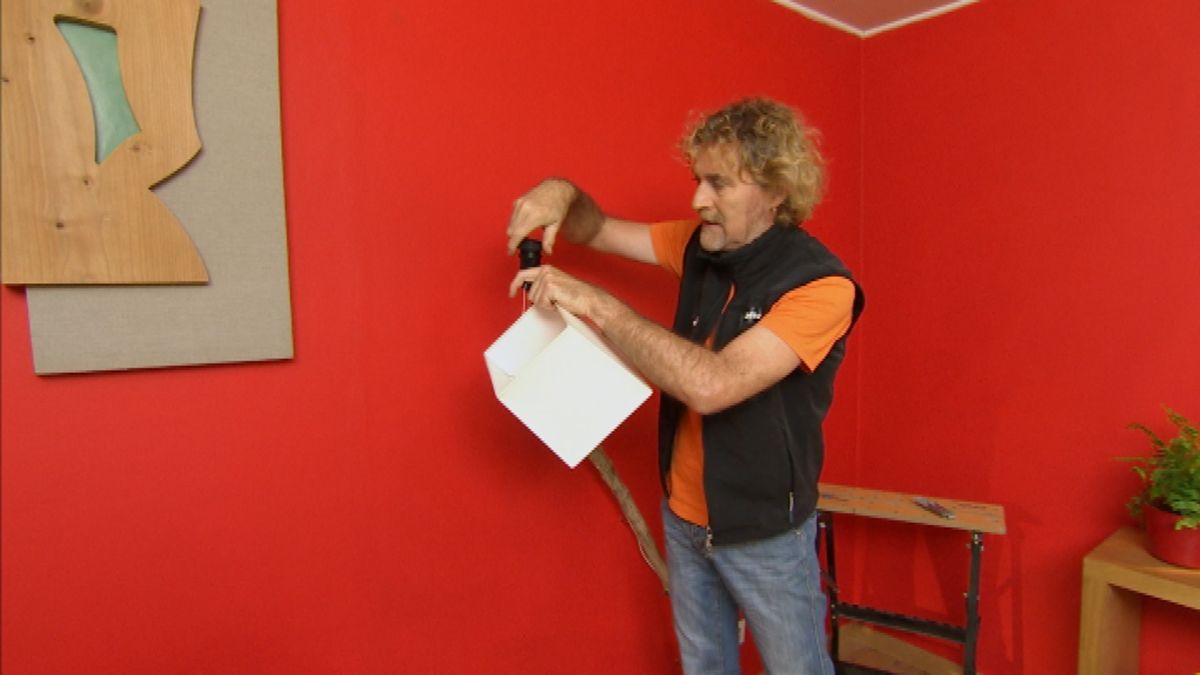 Lámpara silvestre paso 14