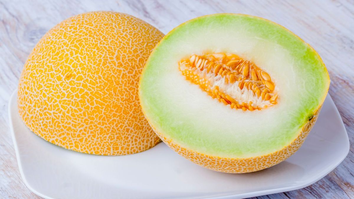 Melón galia