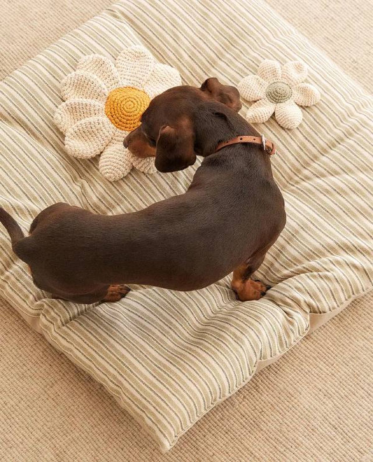 juguete margarita zara home