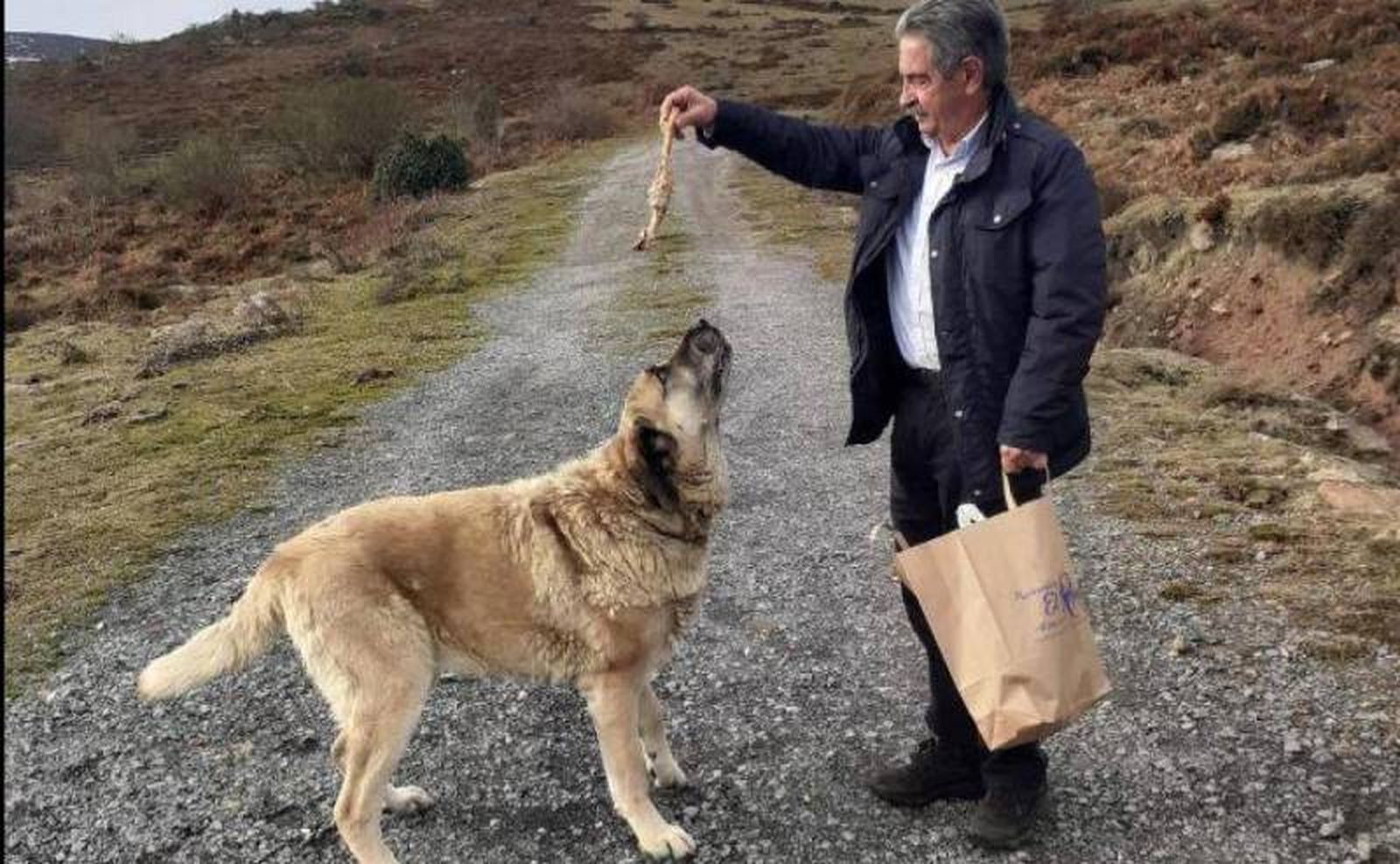 Revilla había entablado una estrecha relación con la perra Luci. Revilla había entablado una estrecha relación con la perra Luci.