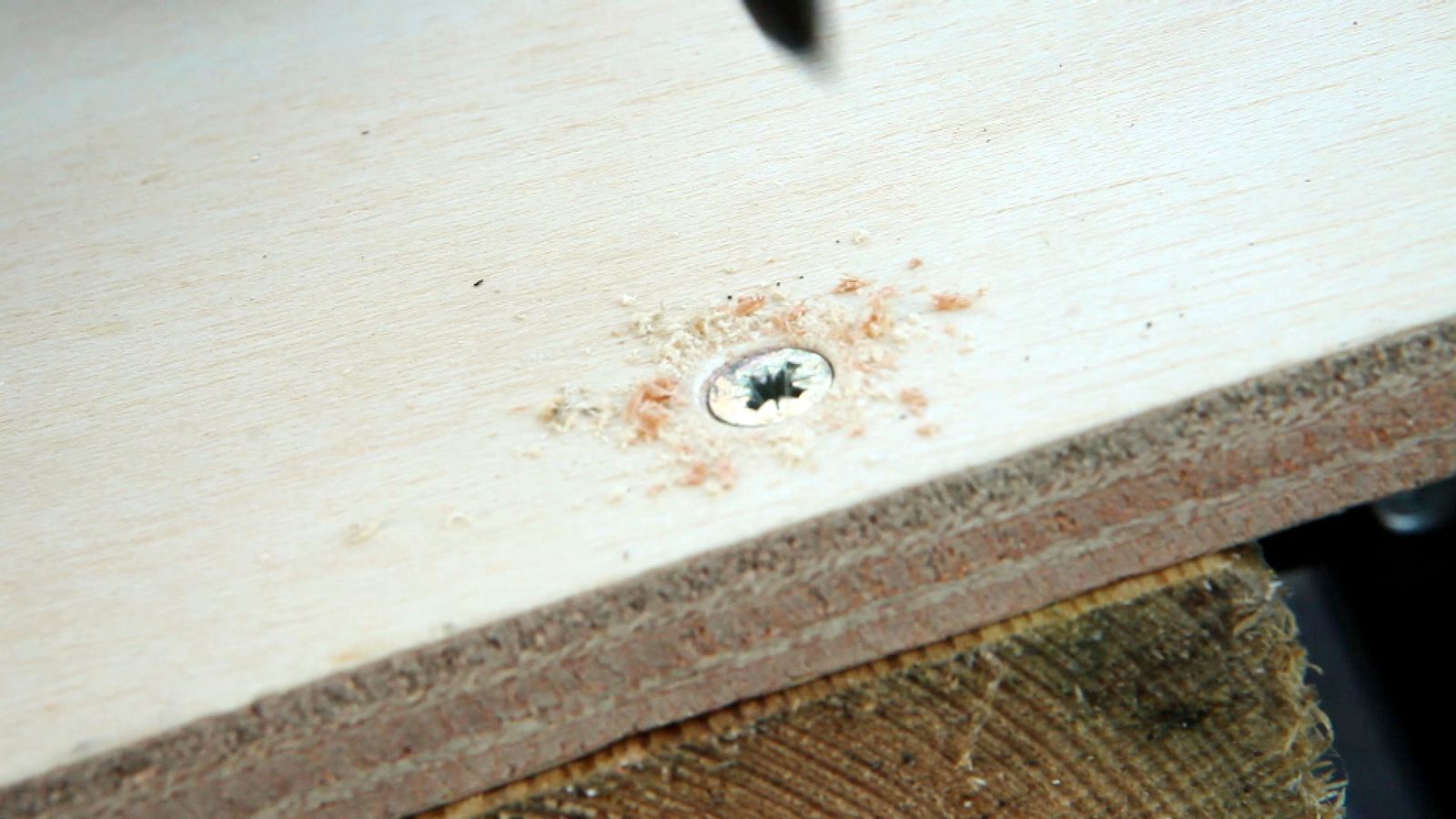 Avellanadores de madera Avellanadores de madera