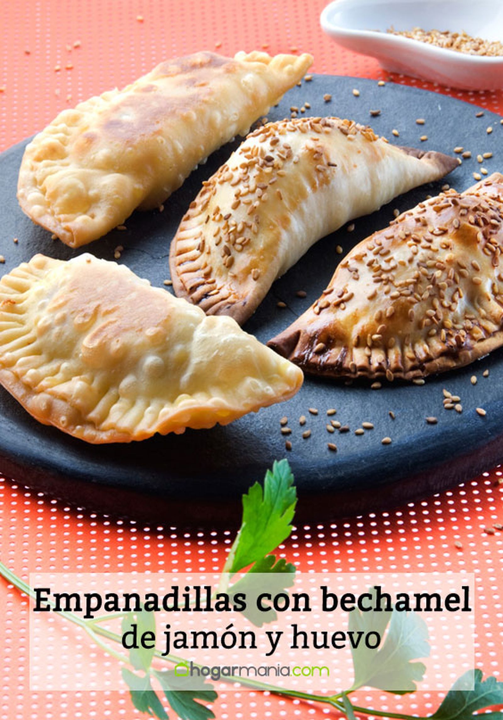 empanadillas bechamel pin