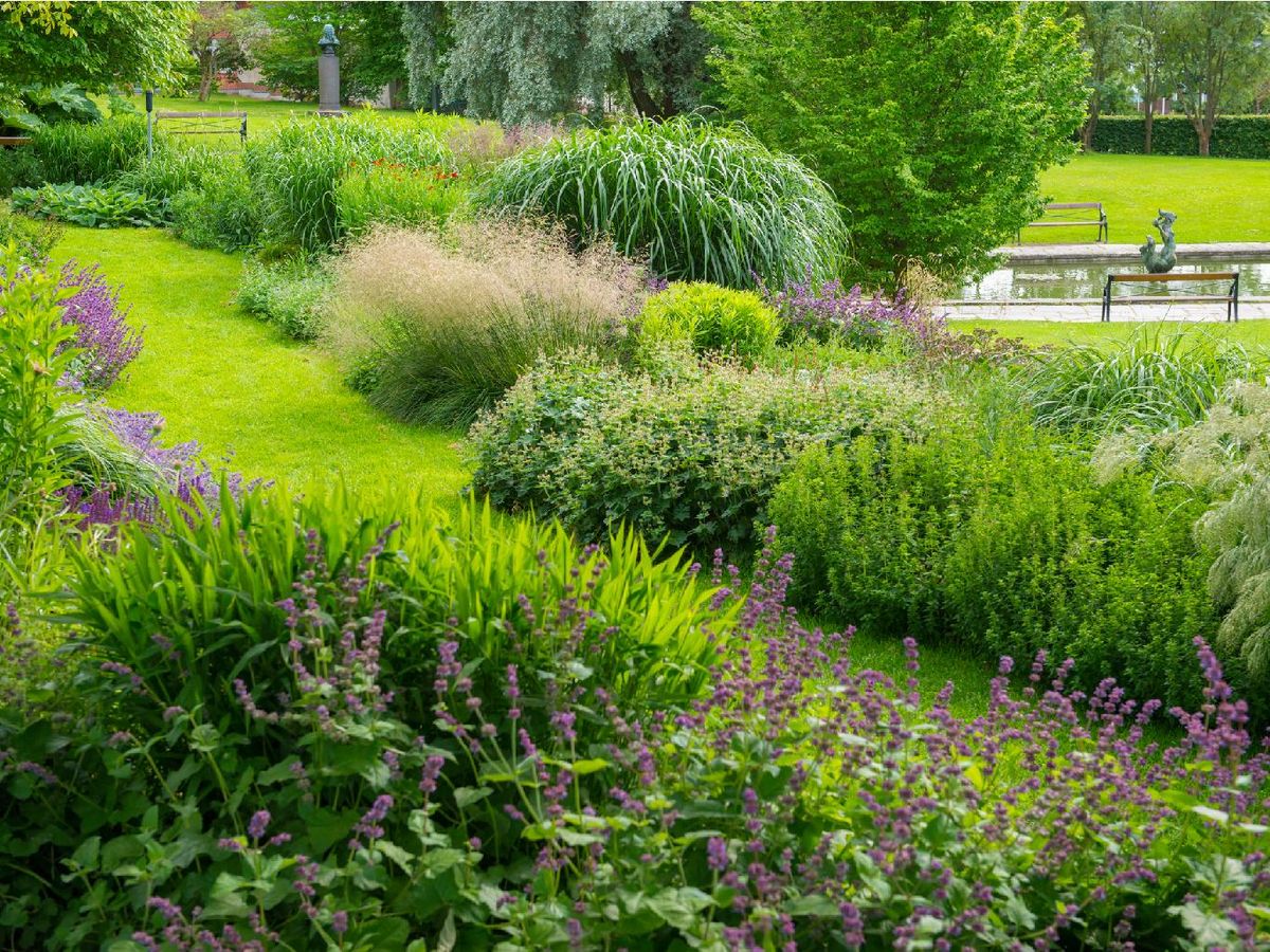  Los árboles y arbustos forman el armazón del jardín
