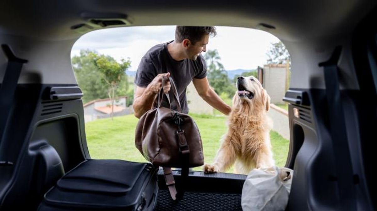 viajar con perro en el puente de diciembre 1