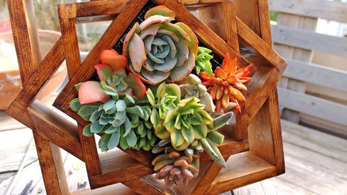 cuadro vivo de decokisa