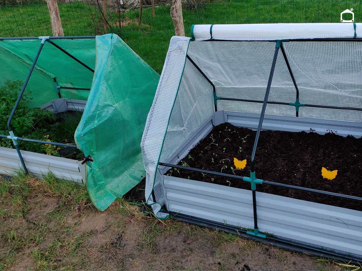 Capa final de sustrato en el bancal lasaña