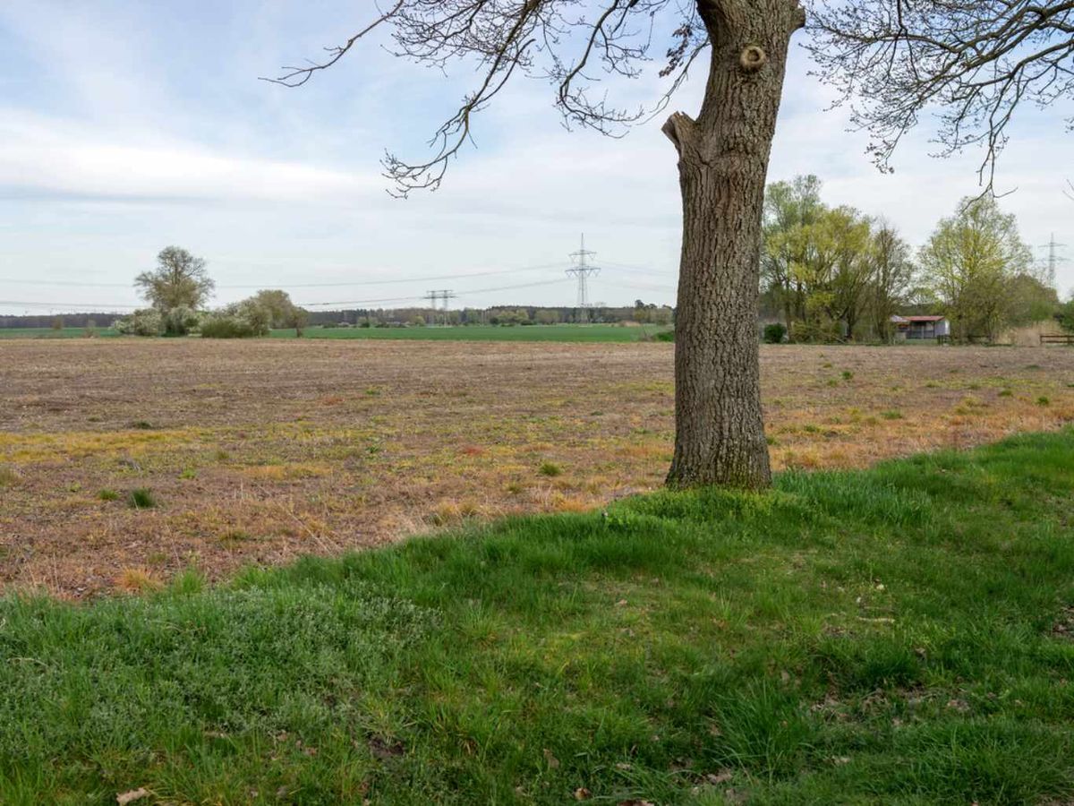 Un césped marrón puede deberse a una deficiencia de nutrientes.