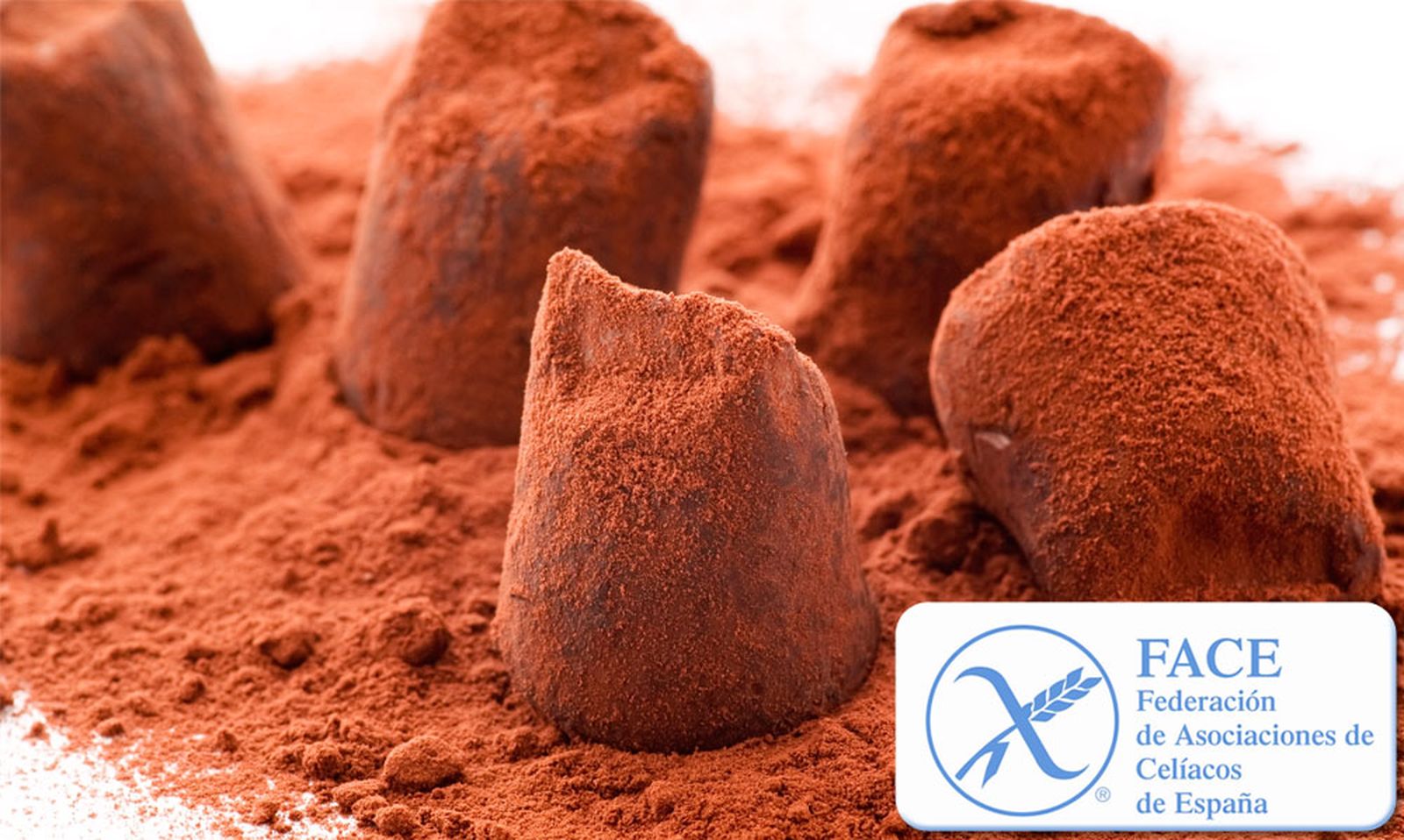 trufas face xl
