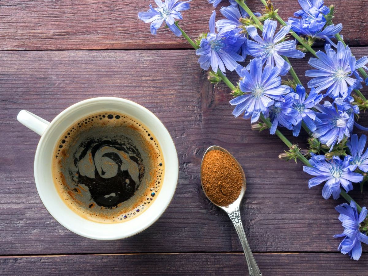 Café de achicoria