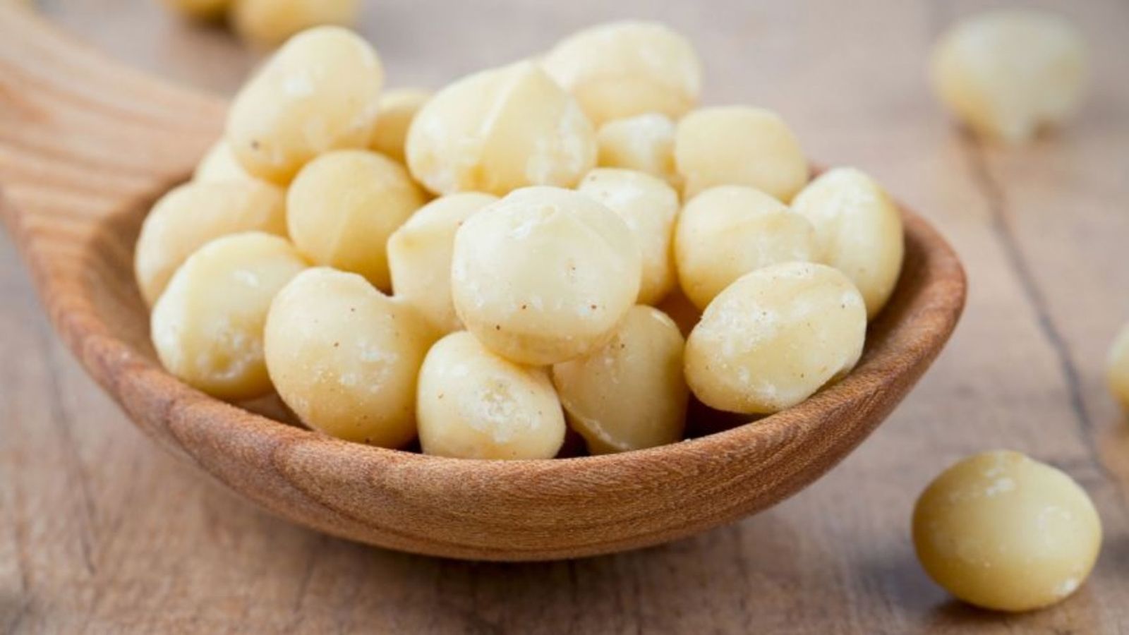nueces de macadamia