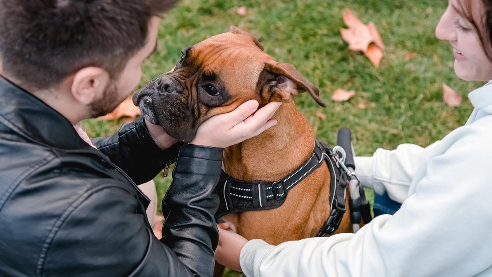 dejar perro con otra persona portada