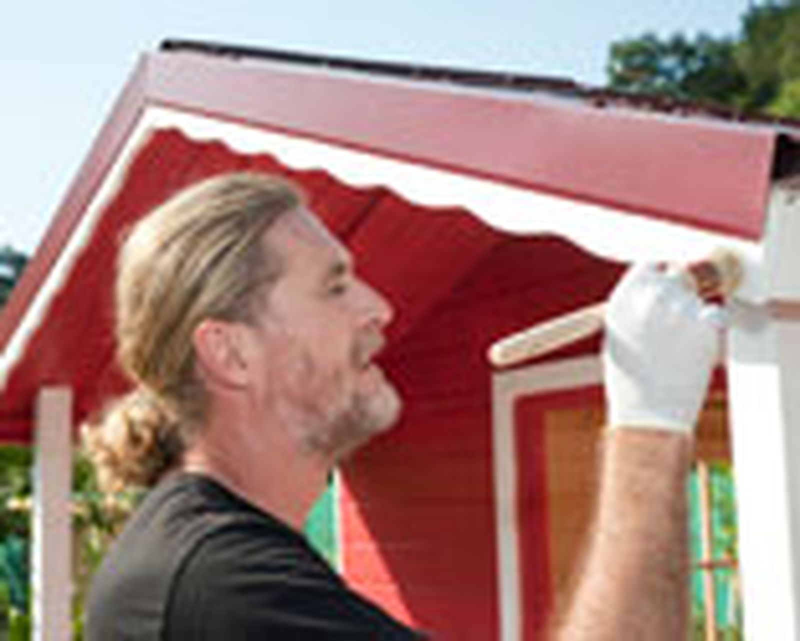 brico 655 pintar caseta madera paso 18 brico 655 pintar caseta madera paso 18