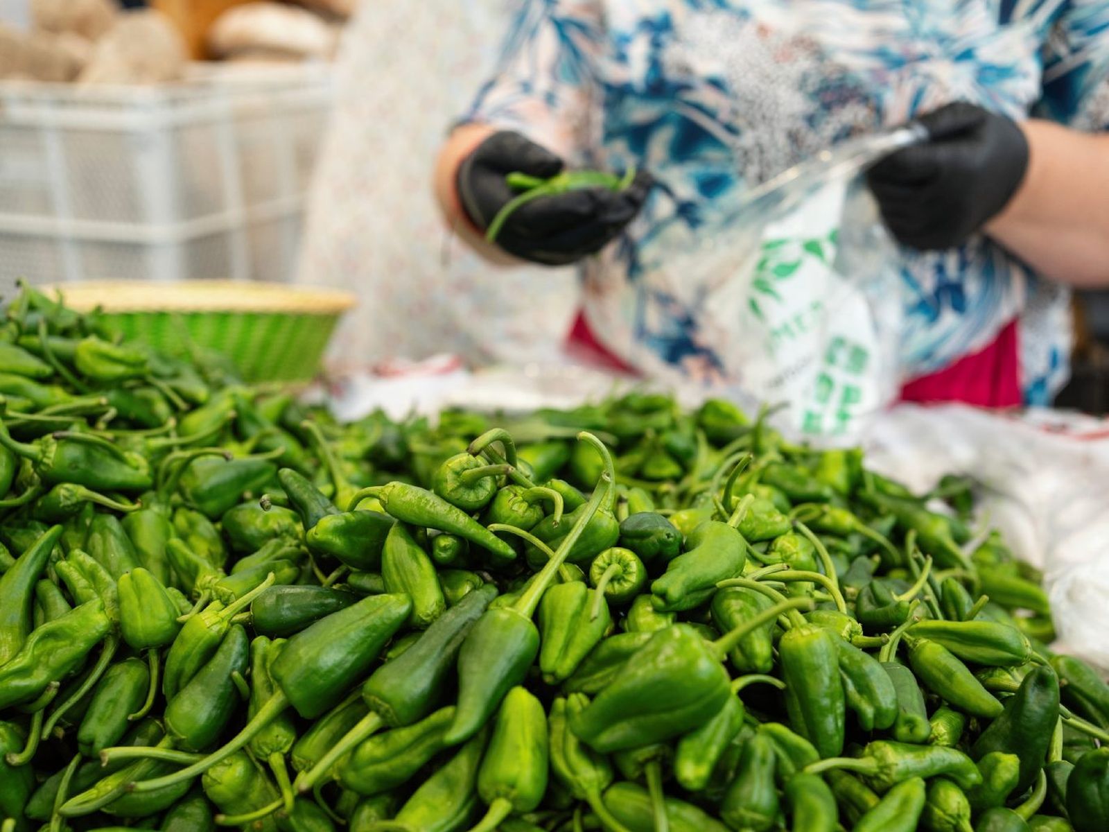 varios pimientos del padron en un mercado