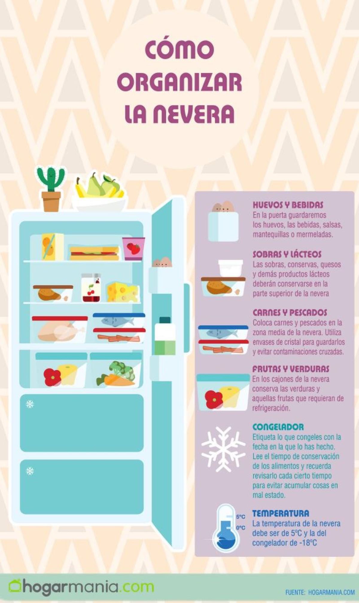 Infografía sobre cómo organizar la nevera / Imagen: Hogarmania