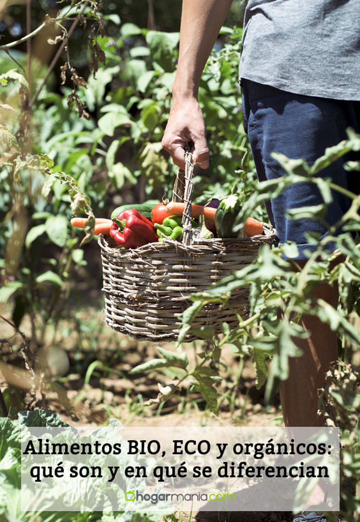 agricultura ecologica v