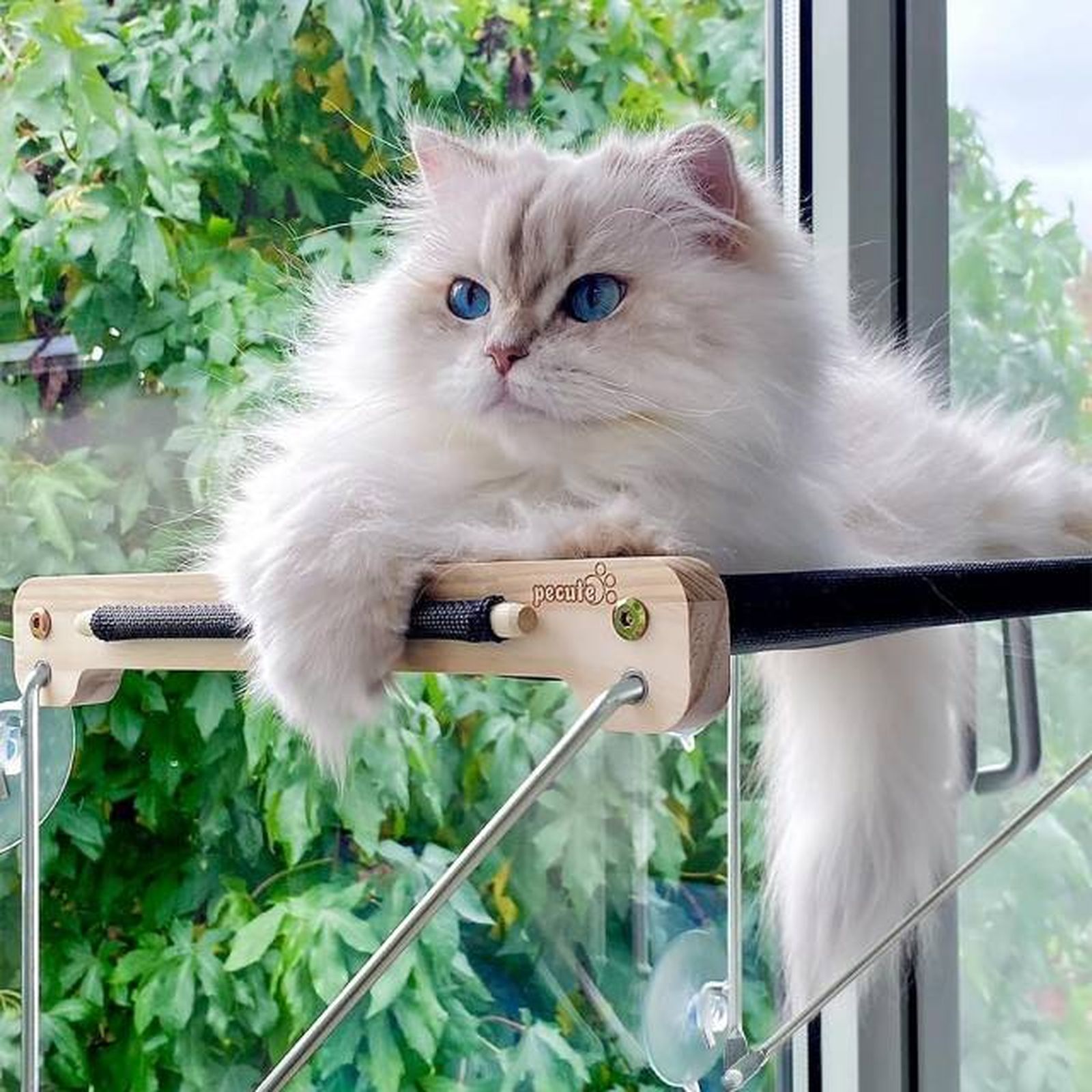 hamaca para gatos de ventana amazon