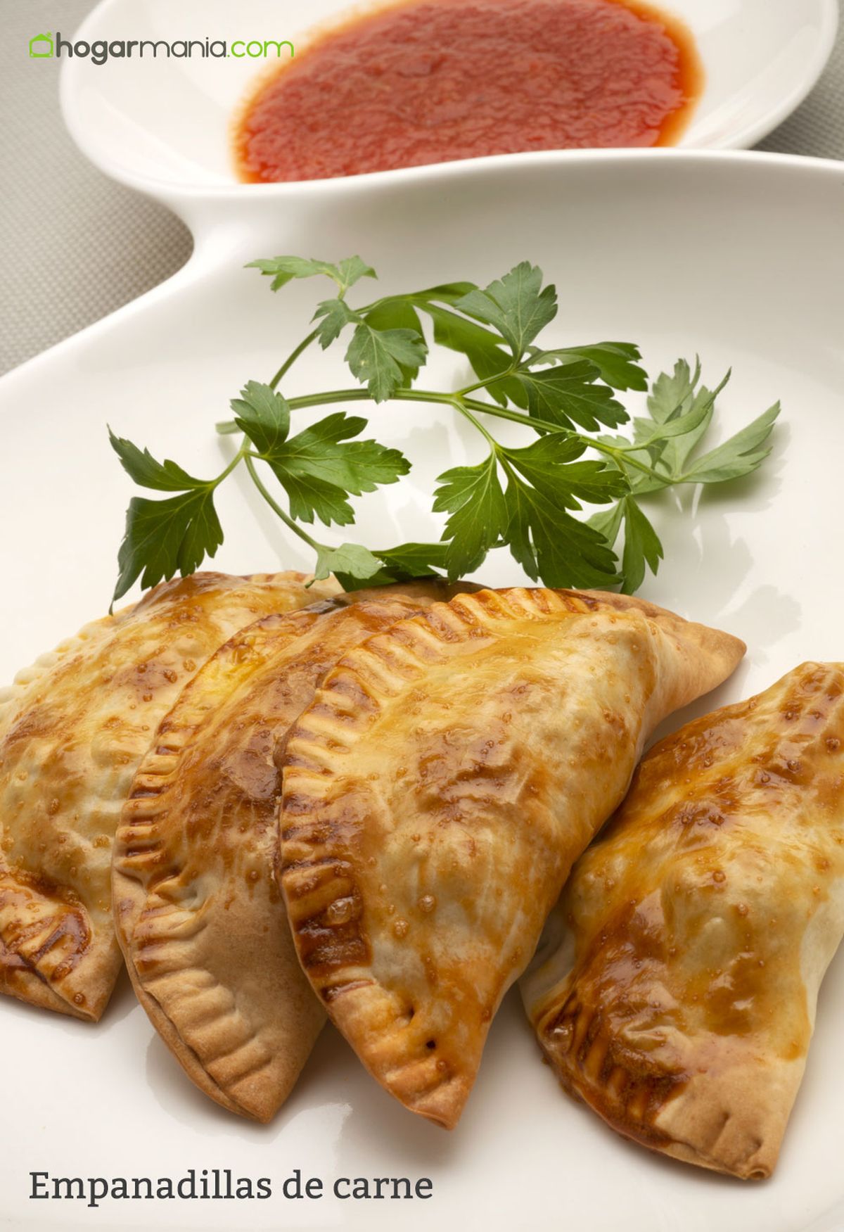 6174 1 Empanadillas de carne vertical xl