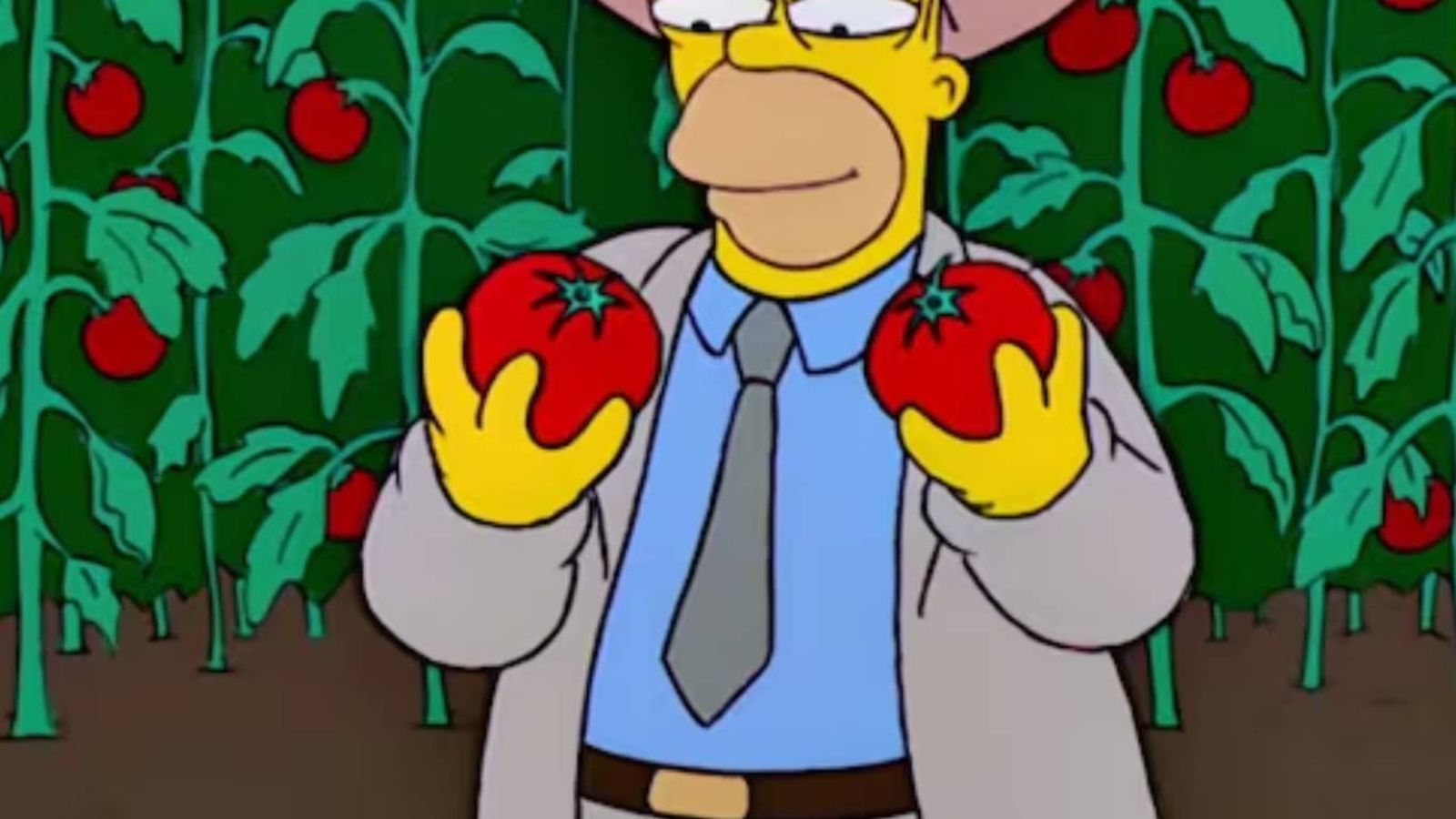 Homer Simpson y la creación del popular tomacco