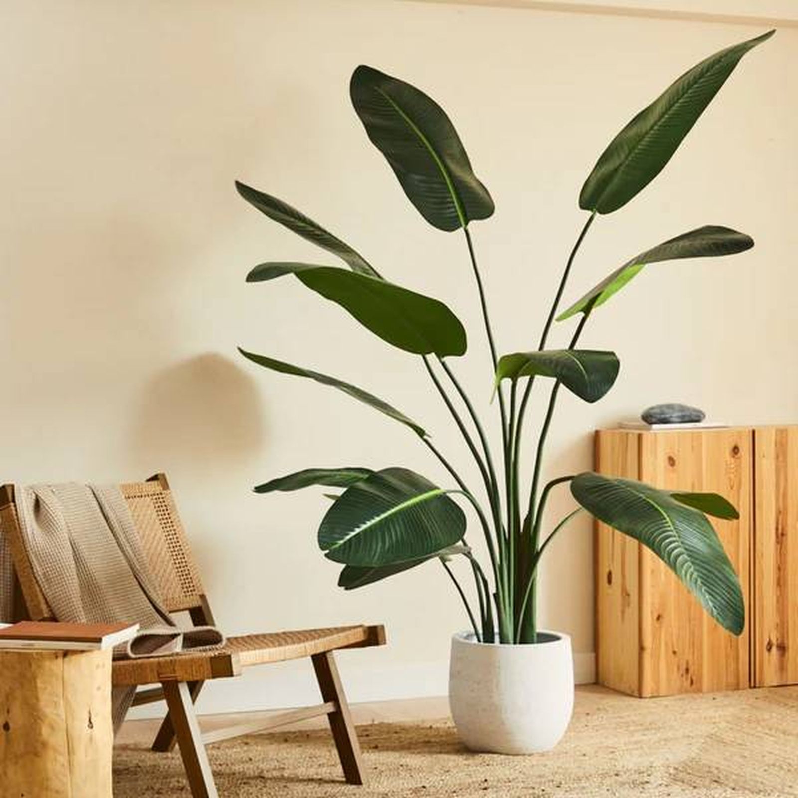 Strelitzia artificial blaine Strelitzia artificial blaine