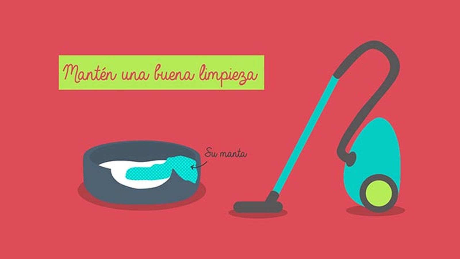 muda pelo mascotas higiene