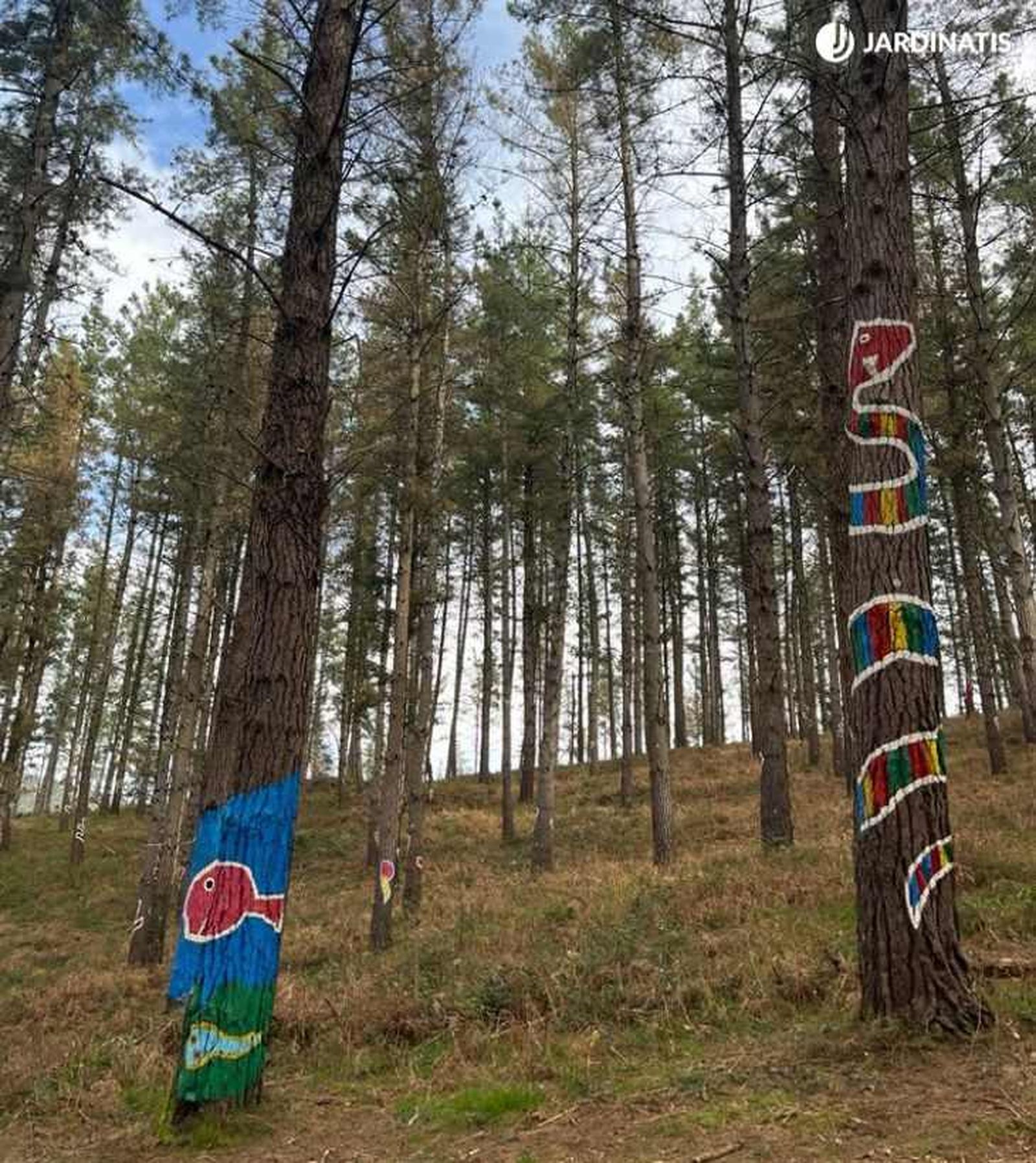 Nuevo Bosque de Oma