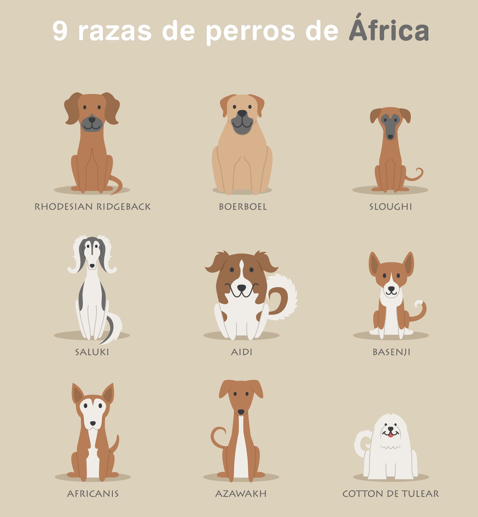 9 razas perro Africa hogarmania 9 razas perro Africa hogarmania