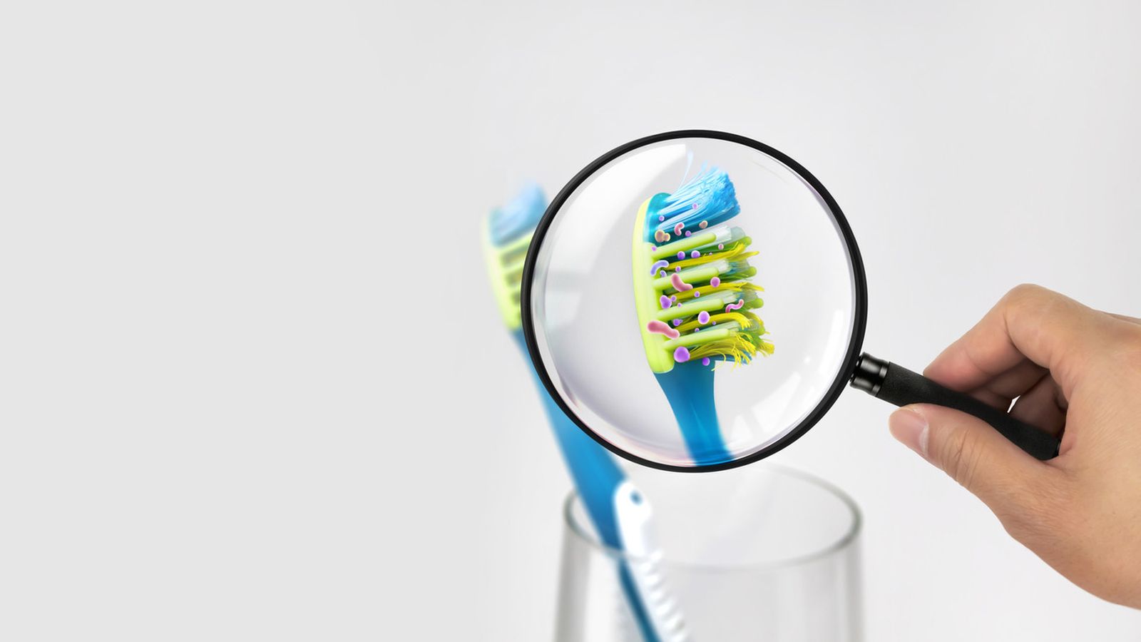 diez objetos del hogar con mas bacterias cepillo de dientes diez objetos del hogar con mas bacterias cepillo de dientes