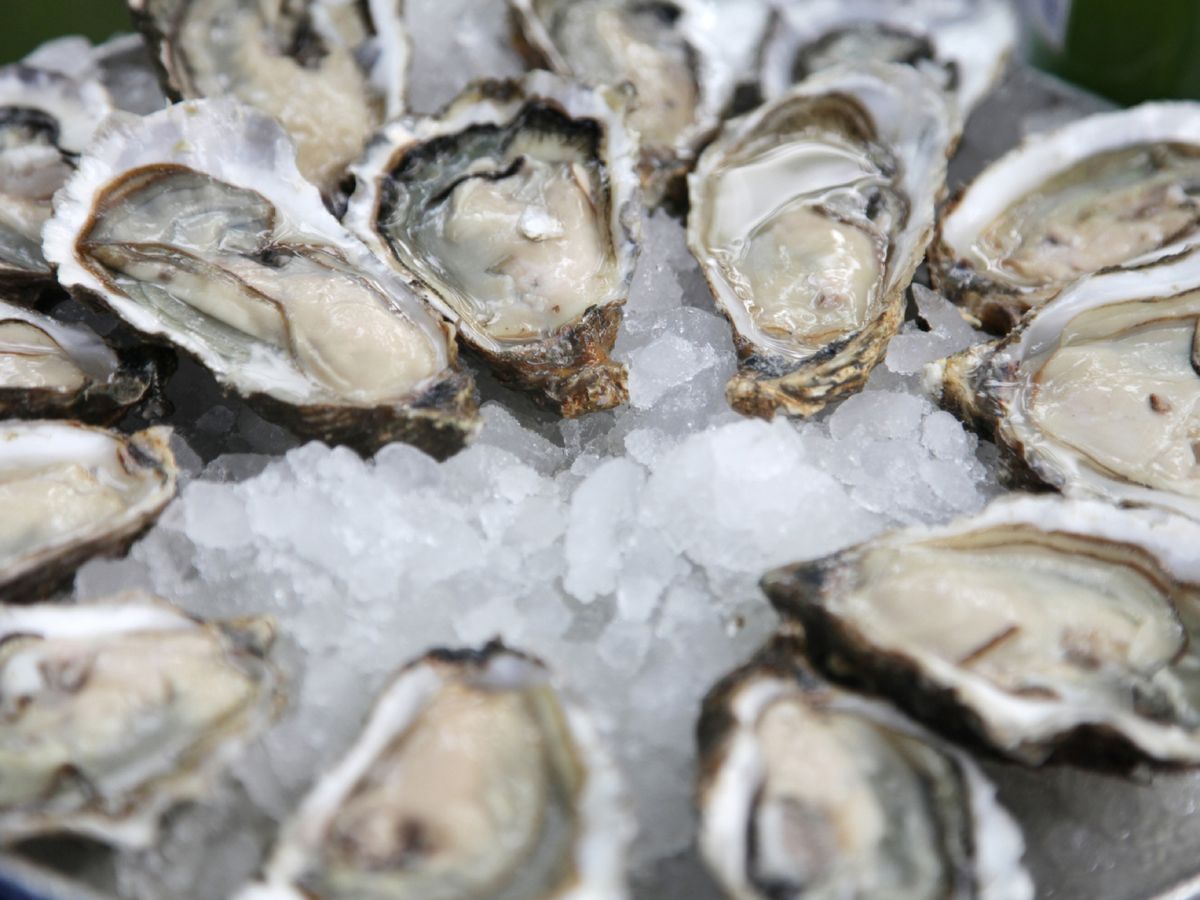 Más allá del lujo gastronómico, las ostras son una fuente natural de nutrientes esenciales.