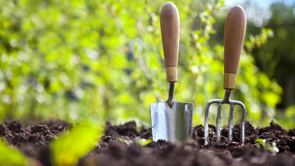 El exceso de abono puede provocar exceso de sal en las plantas
