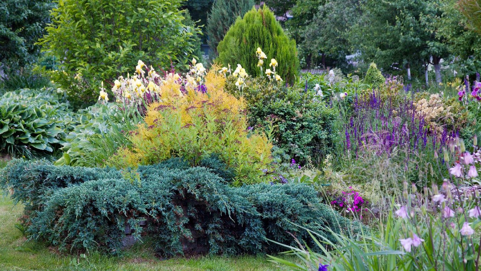 Reune plantas con necesidades similares de riego