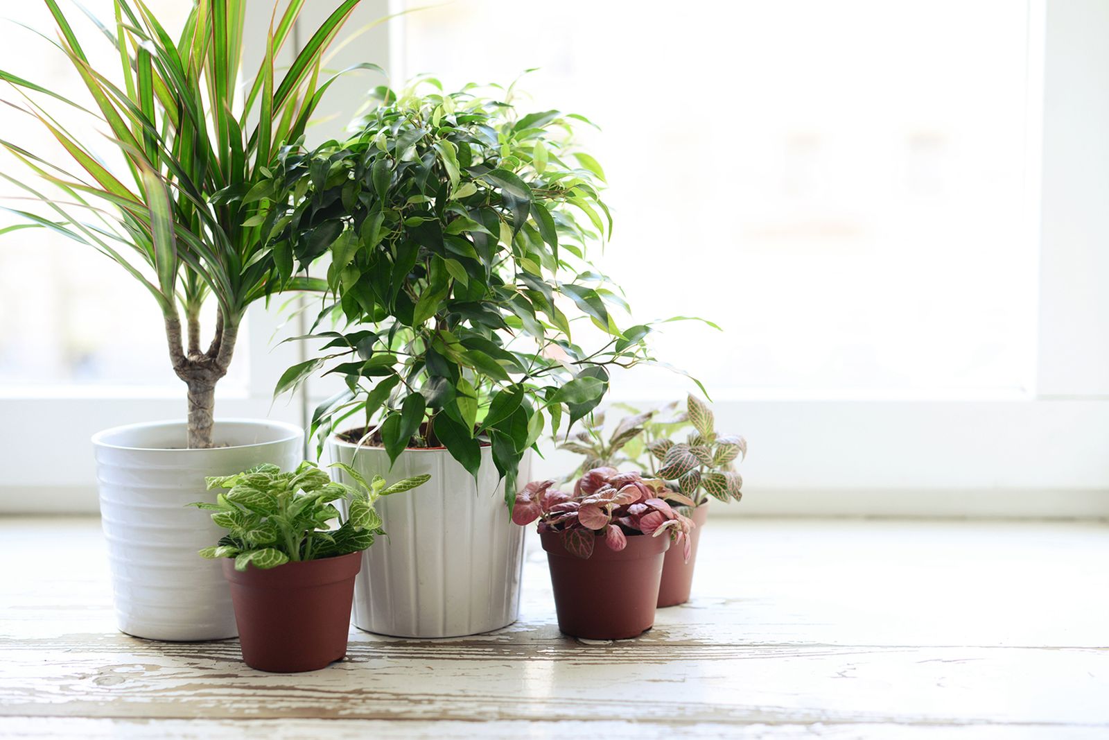 plantas casa1 plantas casa1