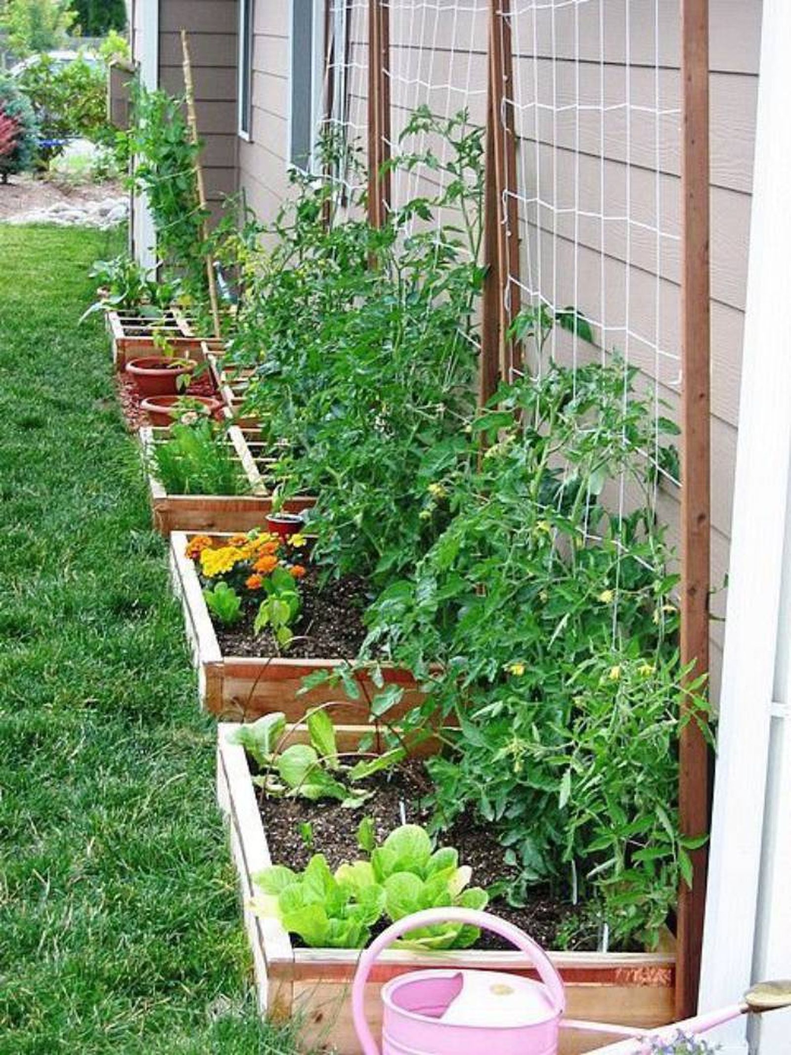 huerto urbano jardin pequeno pinterest IMÁGENES EDUCATIVAS
