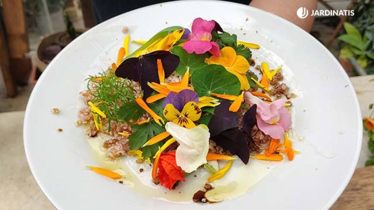 Ensalada de flores comestibles de Iñigo Segurola. 