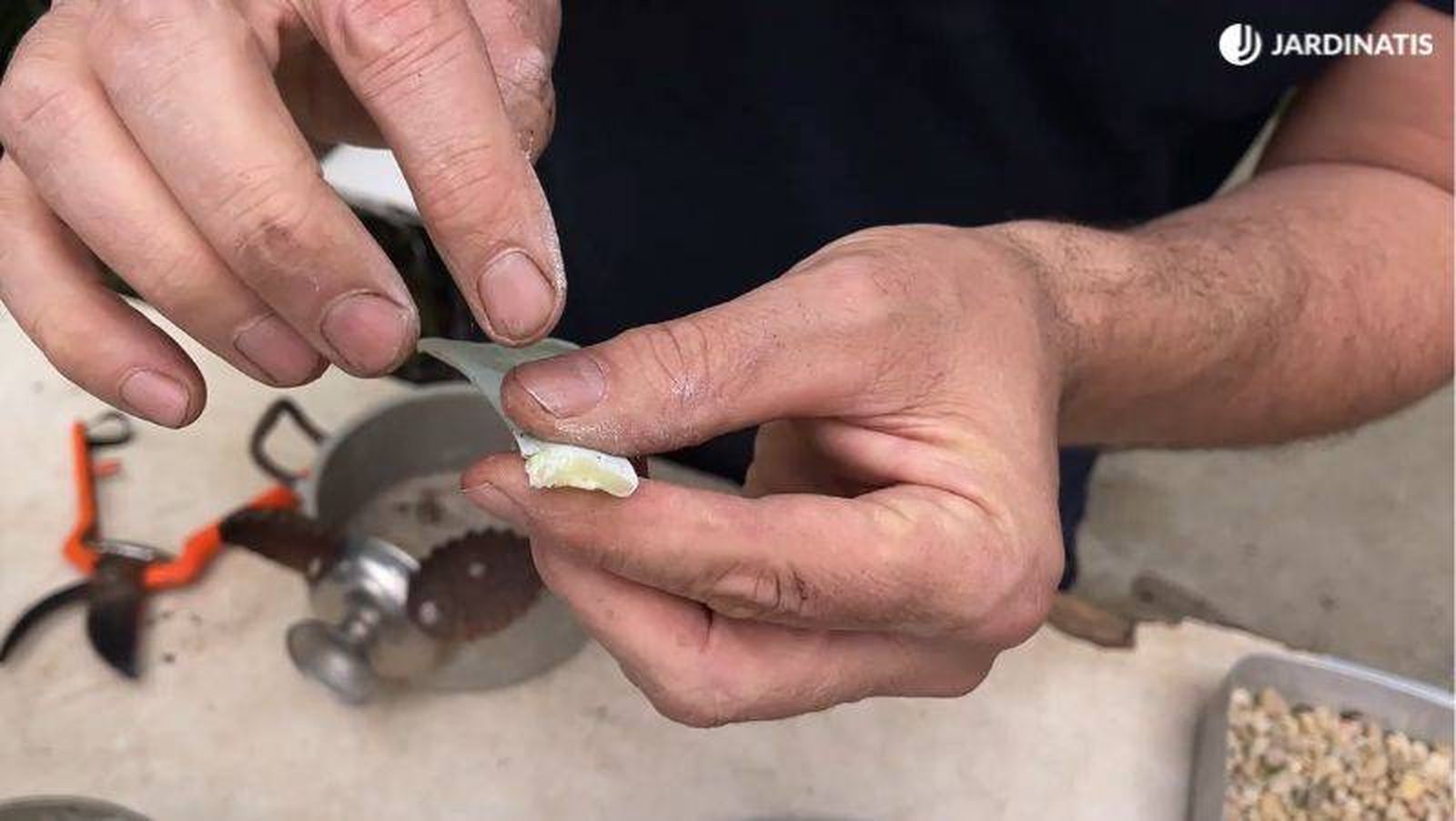 El corte debe cerrarse El corte debe cerrarse