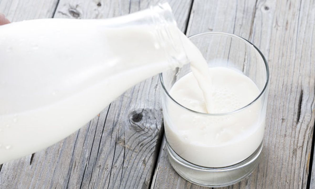 5334 nutricion ainhoa leche xl