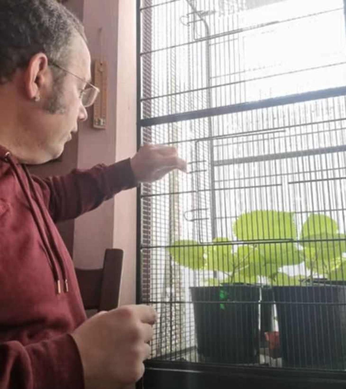 Daniel Emlyn-Jones con la planta suicida