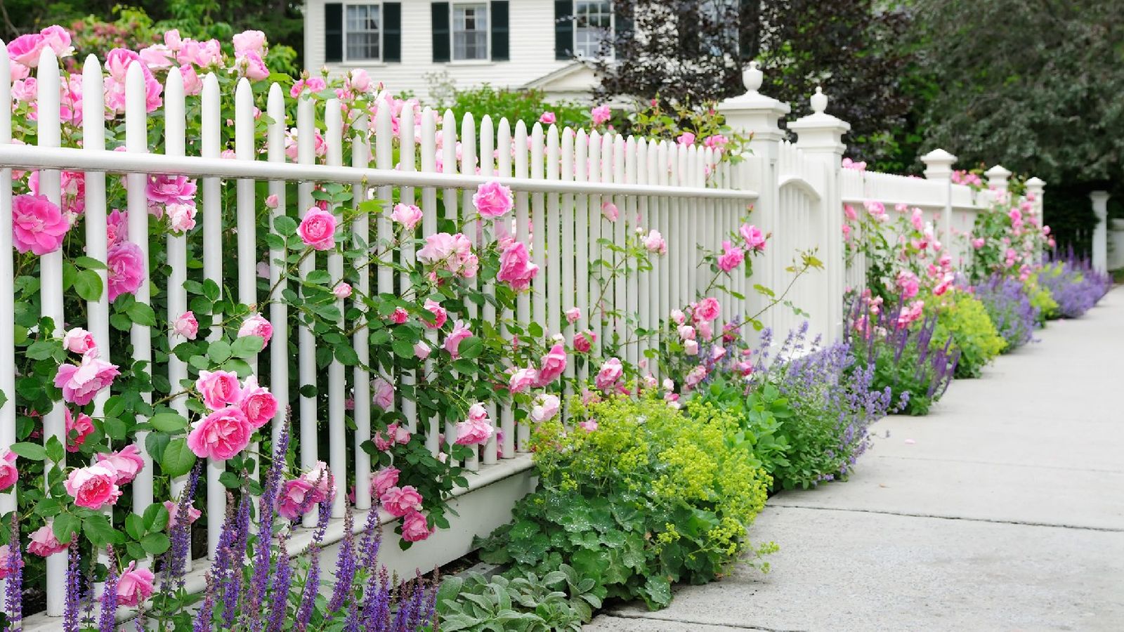 Una cerca bien cuidada añade belleza y magia a tu jardín