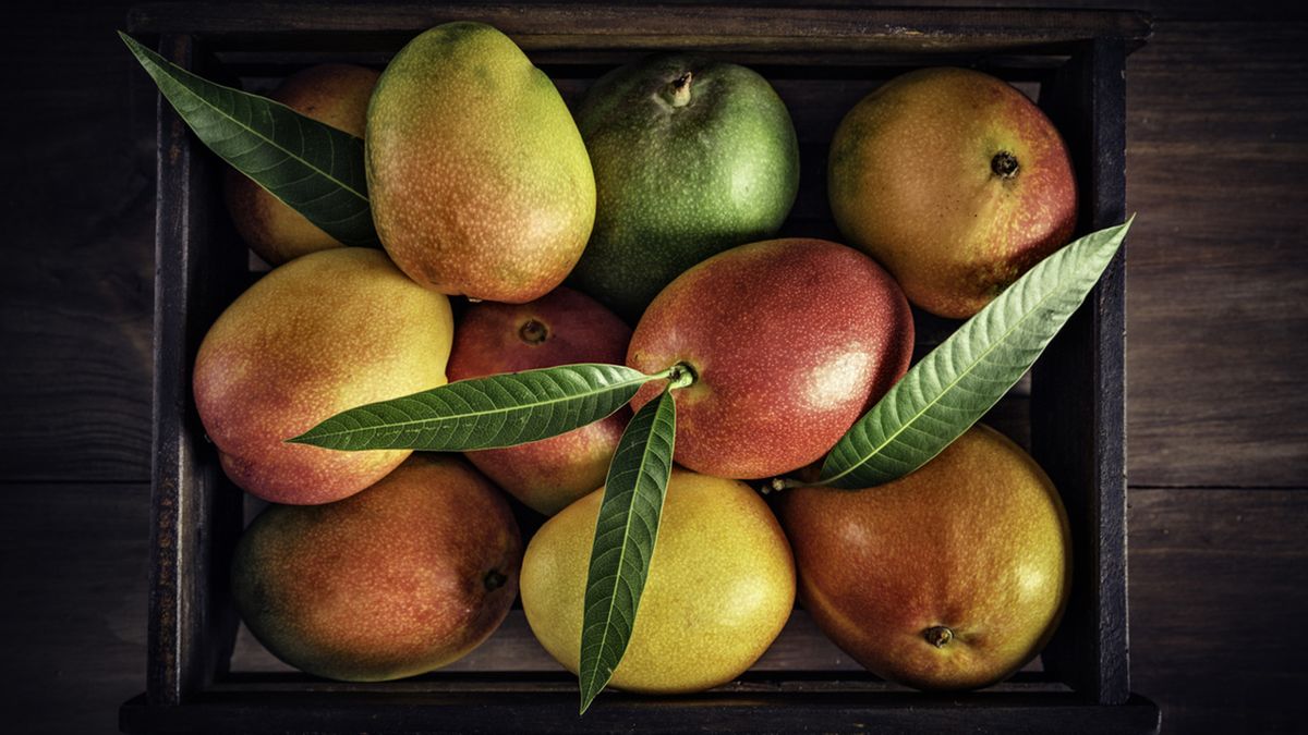 mango fruta semillas
