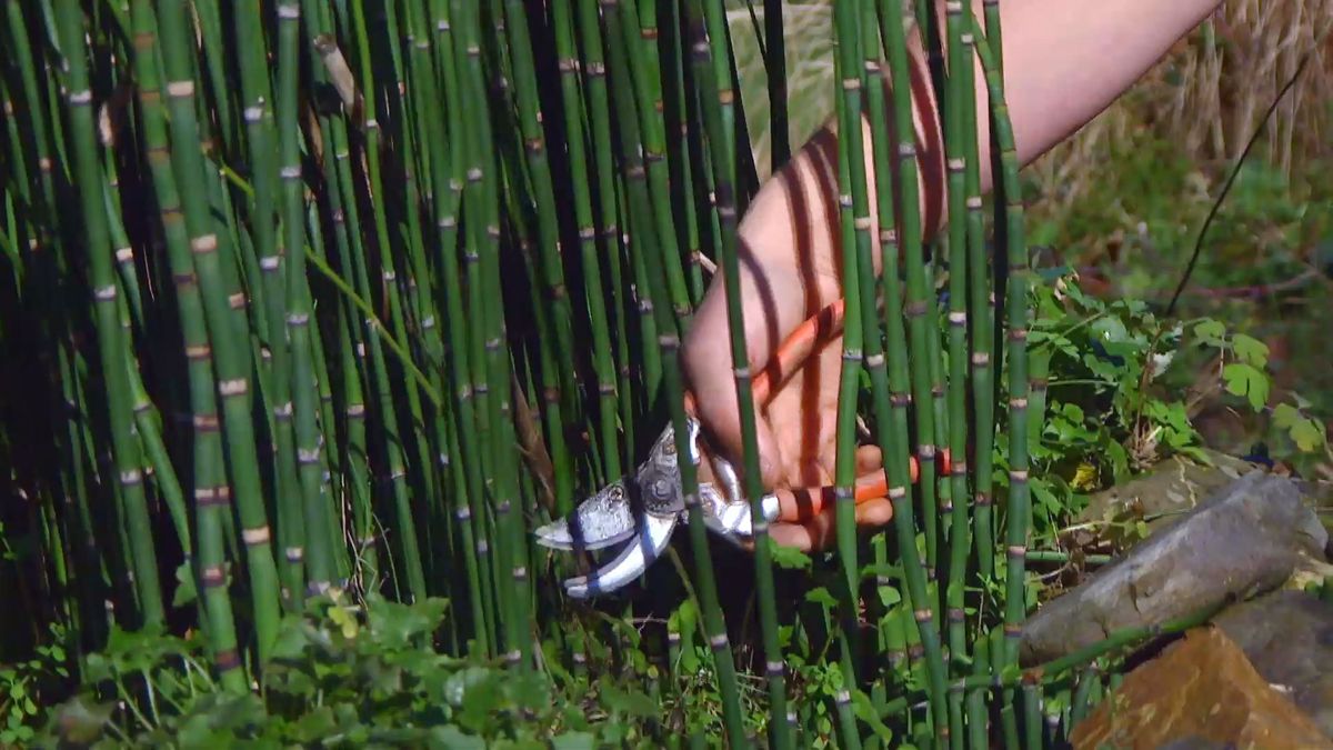 decogarden 0648 jardineria poda cola caballo tijeras